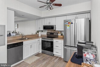 51 Tilia Ct in Hamilton, NJ - Building Photo - Building Photo