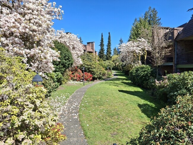 Canyon Manor in North Vancouver, BC - Building Photo - Building Photo