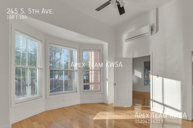 245 S 5th Ave in Tucson, AZ - Building Photo - Building Photo