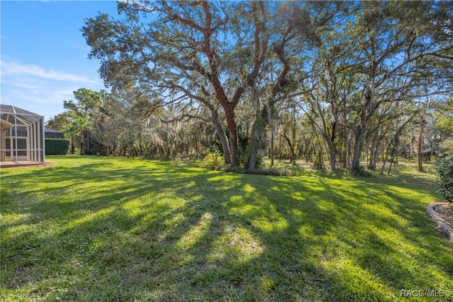 1075 W Diamond Shore Loop in Hernando, FL - Building Photo - Building Photo