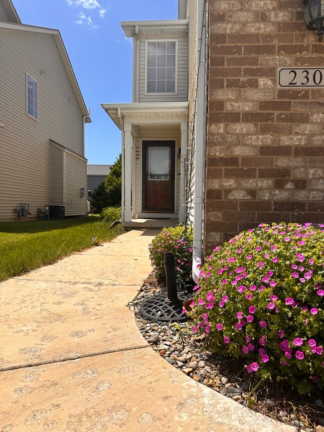 2305 Blanche Ln in Champaign, IL - Building Photo - Building Photo