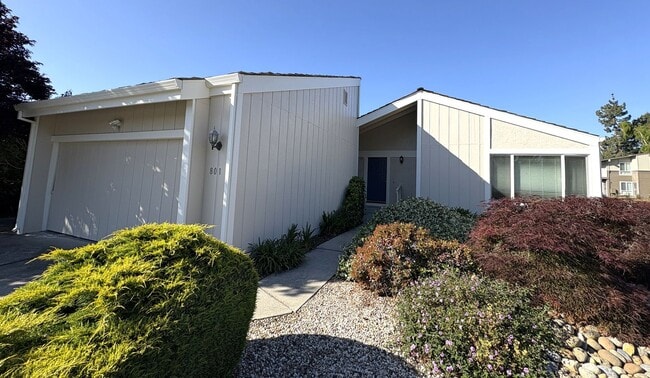 property at 801 Runningwood Cir
