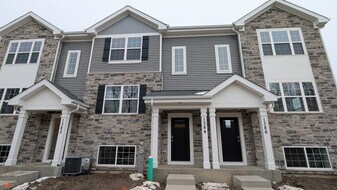 1384 Foxglove Ct in Bartlett, IL - Building Photo