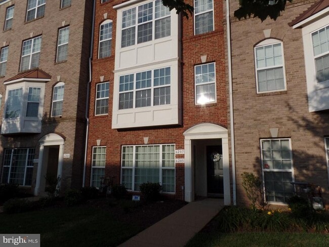 6285 Aster Haven Cir in Haymarket, VA - Building Photo - Building Photo