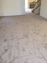 8022 Mammoth Dr in Rohnert Park, CA - Foto de edificio - Building Photo