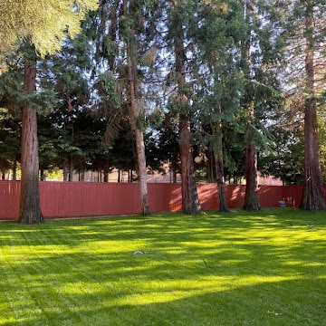 10302 141st St Ct E, Unit C109 in Puyallup, WA - Foto de edificio - Building Photo