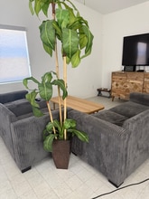 3450 E Ketring Ct in San Bernardino, CA - Foto de edificio - Building Photo