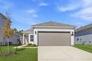 16215 Globetrotter Ct in Porter, TX - Building Photo