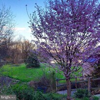 85 Valley Rd in Phoenixville, PA - Building Photo