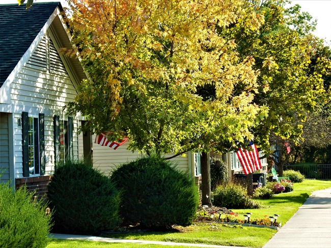 Oak Tree Village in Brighton, MI - Building Photo - Building Photo