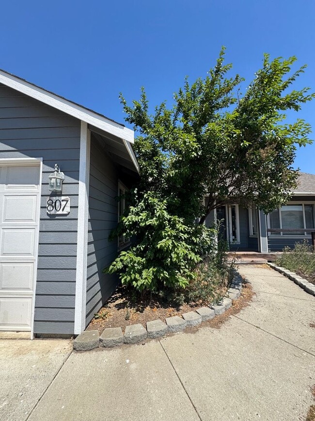 property at 807 Acacia Ln