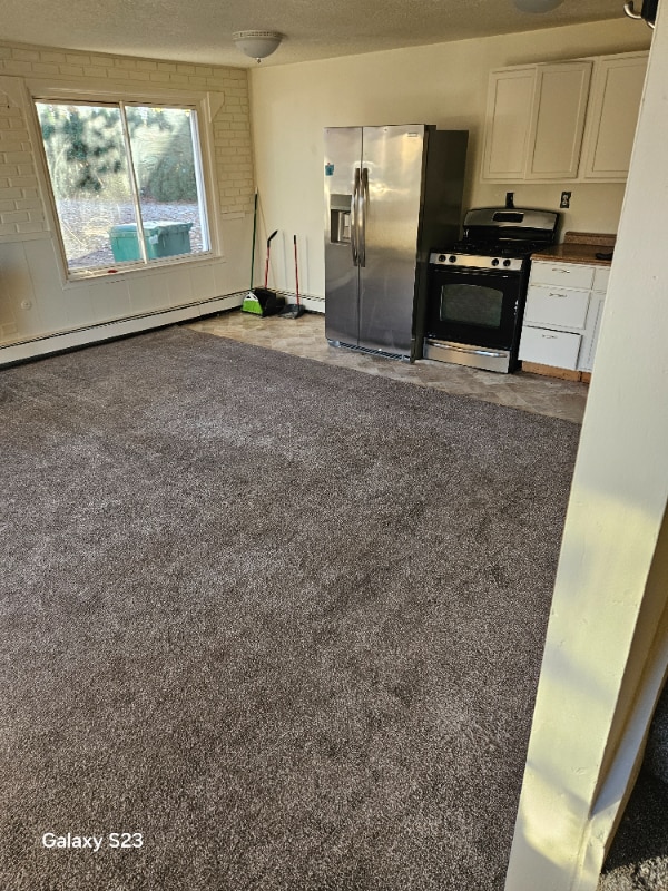 11800 Sunset Ln in Belleville, MI - Building Photo - Building Photo