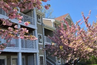 Oaks of Woodlawn in Alexandria, VA - Foto de edificio - Building Photo