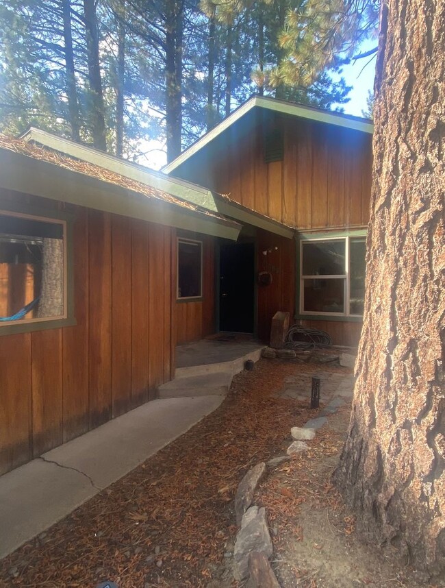 865 Sonoma Ave in South Lake Tahoe, CA - Building Photo - Building Photo