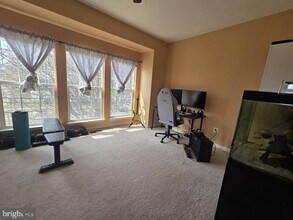 2429 Dew Meadow Ct in Herndon, VA - Building Photo - Building Photo