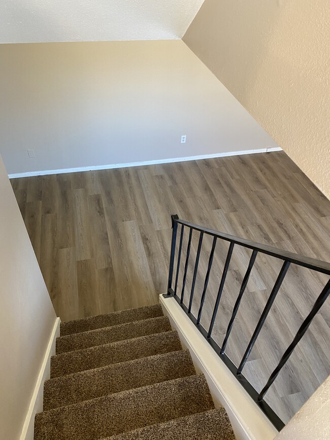 1537 Edora Road in Fort Collins, CO - Building Photo - Building Photo