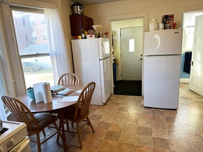 217 S Mills St in Madison, WI - Building Photo - Building Photo