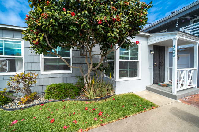 4866 Muir Ave in San Diego, CA - Building Photo - Building Photo