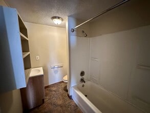 1007 Cole Ave in Akron, OH - Building Photo - Building Photo