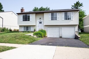 3886 Farm Brook Ln in Columbus, OH - Building Photo