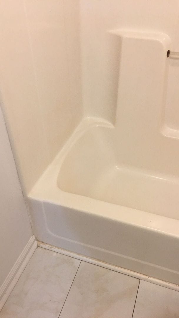 1686 Alderson Lp in Oxford, MS - Foto de edificio - Building Photo