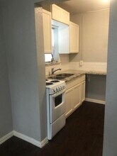 309 Hutcheson St in Houston, TX - Building Photo - Building Photo