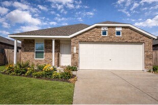 21151 Vercelli St in New Caney, TX - Building Photo