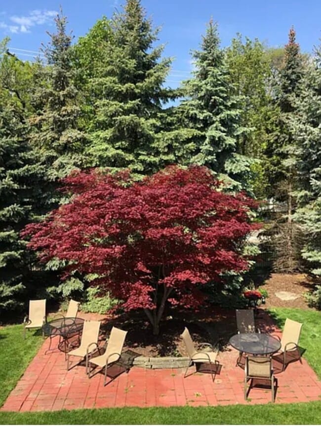 475 S Adams Rd, Unit 22 in Birmingham, MI - Building Photo - Building Photo