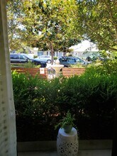 431 I Ave in Coronado, CA - Building Photo - Building Photo