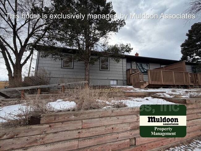 1105 E Caramillo St in Colorado Springs, CO - Foto de edificio - Building Photo
