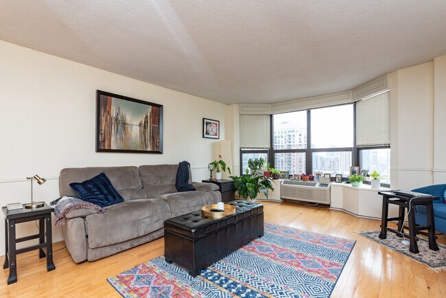 899 S Plymouth Ct in Chicago, IL - Building Photo - Building Photo