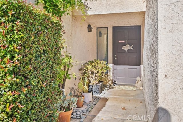 property at 284 Spruce St