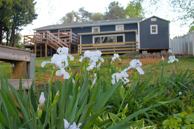 132 Marina Ln in Mooresville, NC - Building Photo - Building Photo