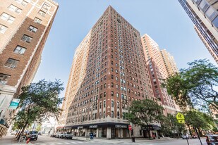 1100 N Dearborn St in Chicago, IL - Building Photo