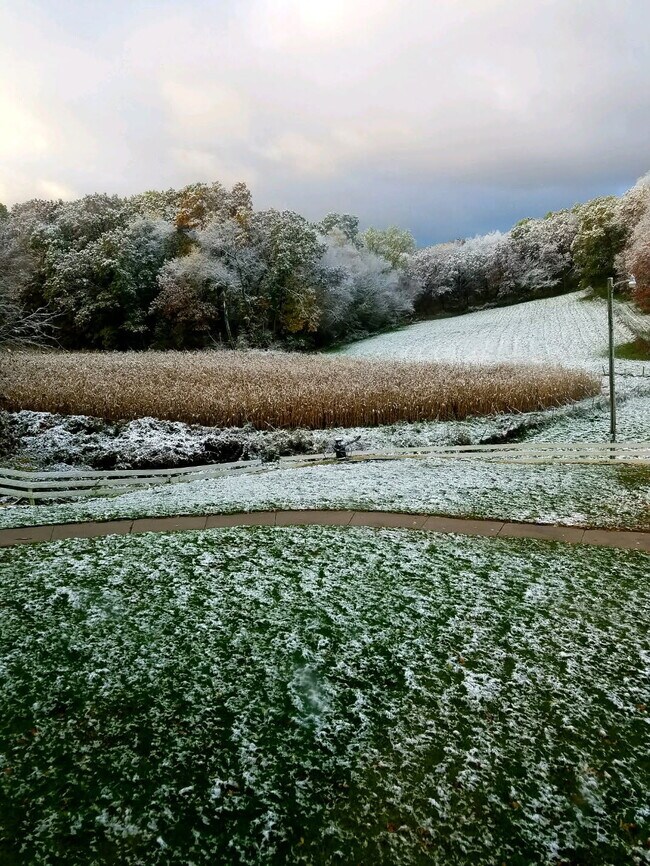 14242 Hein Ln in Ettrick, WI - Building Photo - Building Photo