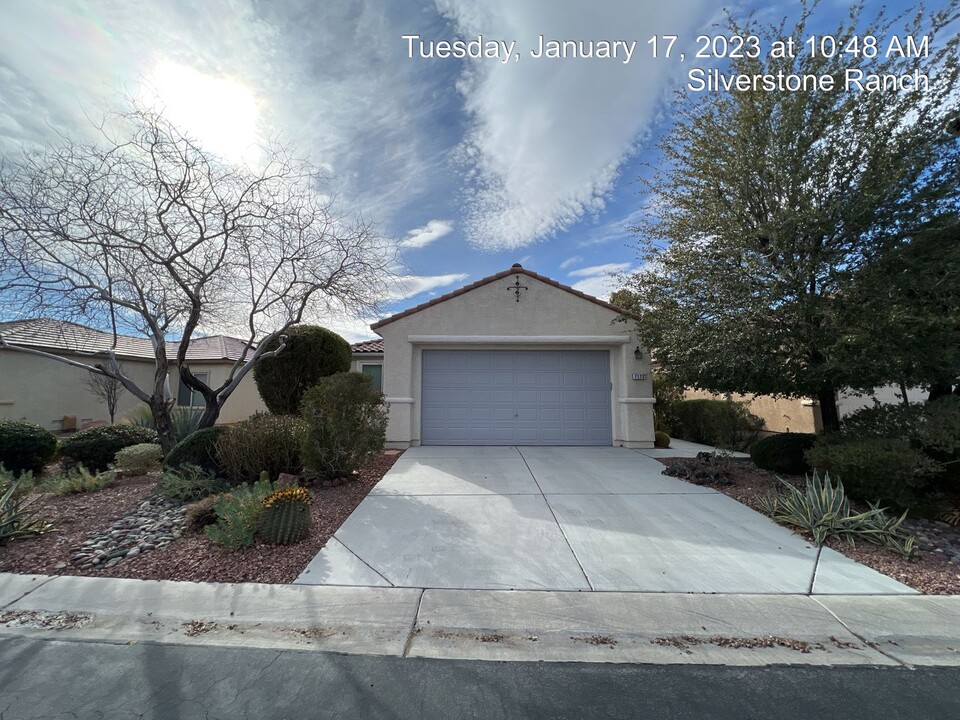 7173 Fairwind Acres Pl in Las Vegas, NV - Building Photo