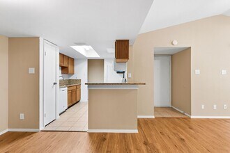 14777 Wunderlich Dr in Houston, TX - Foto de edificio - Building Photo