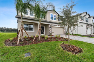 38190 Shale Stone Ct in Zephyrhills, FL - Building Photo - Building Photo