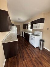 17 E Park St in Mundelein, IL - Building Photo - Building Photo