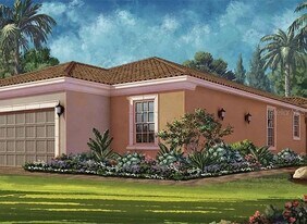 11119 Callisia Dr in Odessa, FL - Building Photo