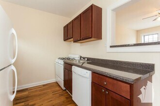 1424 W Byron St, Unit #1 in Chicago, IL - Foto de edificio - Building Photo