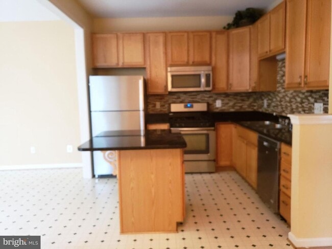 13659 St Johns Wood Pl in Herndon, VA - Building Photo - Building Photo