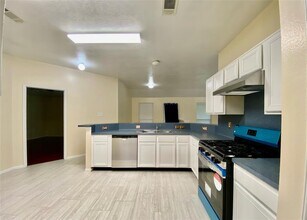 20334 Linden Tree Dr in Katy, TX - Building Photo - Building Photo