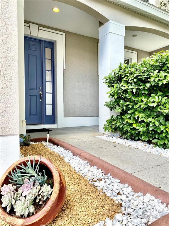 30407 Princess Bay Dr in Wesley Chapel, FL - Building Photo - Building Photo