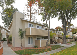 Campbell Plaza Apartments in Campbell, CA - Building Photo - Building Photo