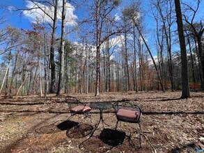 2171 Hidden Knoll Dr in Charlottesville, VA - Building Photo - Building Photo