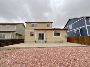 7159 Red Cardinal Loop in Colorado Springs, CO - Building Photo - Building Photo