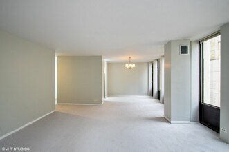 100 E Walton Pl in Chicago, IL - Building Photo - Building Photo