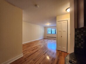 556 W Arlington Pl, Unit 2 in Chicago, IL - Building Photo - Building Photo