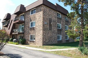 5520 Belmont Rd, Unit #3D in Downers Grove, IL - Building Photo